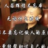 北京网友72312