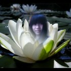 QQ头像