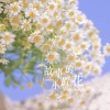 北京网友50201