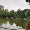 河南网友44695