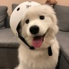 澳门网友65827
