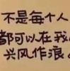 浙江网友28223