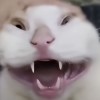 评论头像