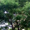 吉林网友33314