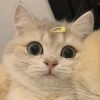 云南网友62811