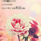 QQ头像