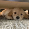 香港网友89028