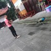 黑龙江网友96768