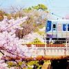 山风水拽
