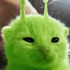 QQ头像