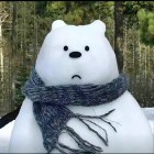 QQ头像