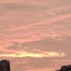 海南网友88834