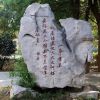 河南网友28942