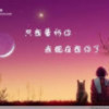云南网友23904