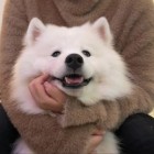 QQ头像