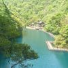 国民jz9@