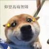 评论头像