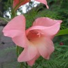 宁夏网友89252