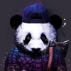 吉林网友52454