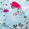 北京网友99229