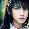 甘肃网友21209