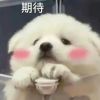 江西网友79600
