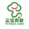 陈定安