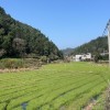 重庆网友14413