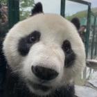 QQ头像