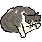 QQ头像
