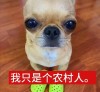 澳门网友72002