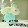 宁夏网友40504