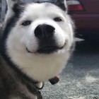 QQ头像