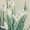 山西网友13245
