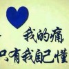 西藏网友27237