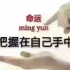 西藏网友34084
