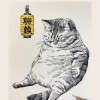 评论头像