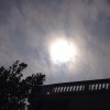 河南网友72146
