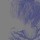 甘肃网友82923