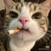 甘肃网友75194