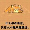 新疆网友12733