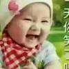 树狂$富
