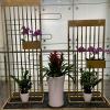 j快花人静花