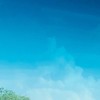陕西网友17456