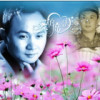 辽宁网友30218