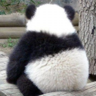 QQ头像