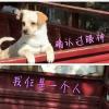评论头像