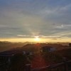 河南网友31798