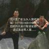 静炫树萌