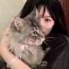 宝民世风容大